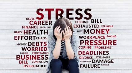 How Stress Level Tests Work: A Detailed Guide